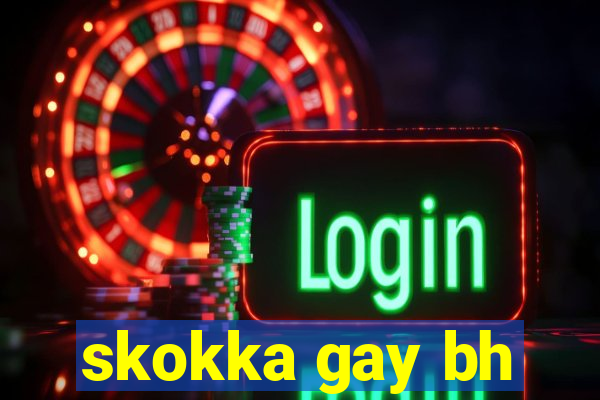 skokka gay bh